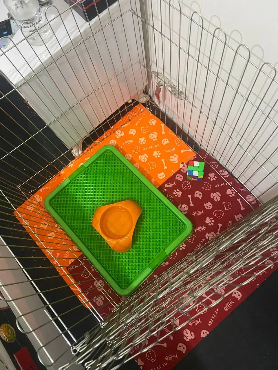 قفس سگ بزرگ و محکم|لوازم جانبی حیوانات|مشهد, توس (بلوار توس)|دیوار