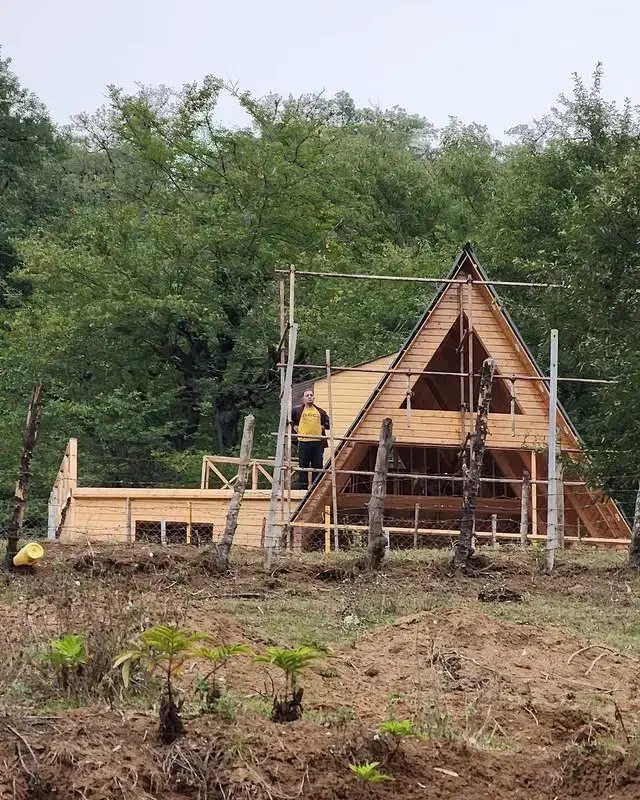 کلبه سوئیسی و چوبی|خدمات پیشه و مهارت|ساری, |دیوار