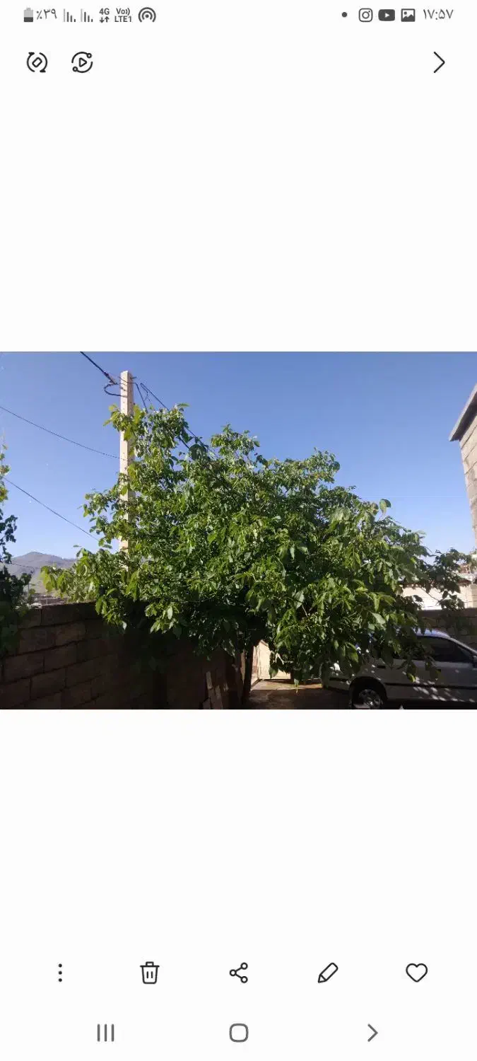 فروش منزل مسکونی در روستای قبغلو|فروش خانه و ویلا|سقز, |دیوار