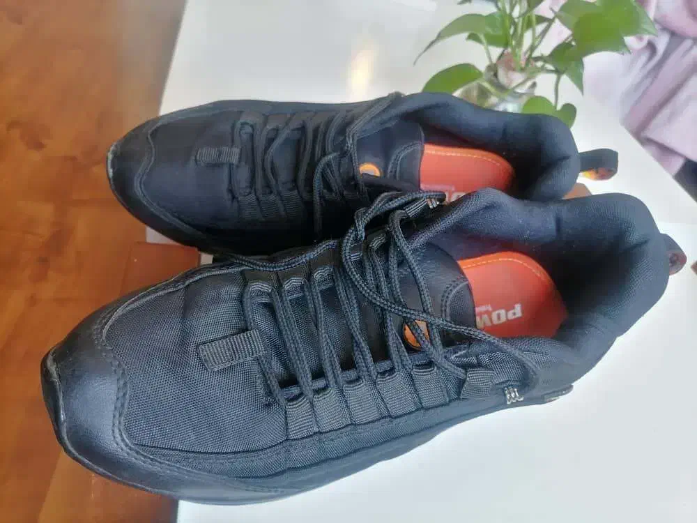 کتونی|کیف، کفش، کمربند|قم, سعادتی|دیوار