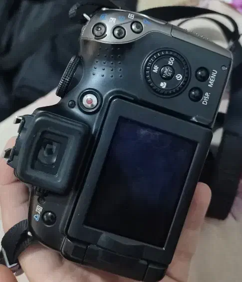 دوربین عکاسی|دوربین عکاسی و فیلم‌برداری|رشت, سلیمانداراب|دیوار