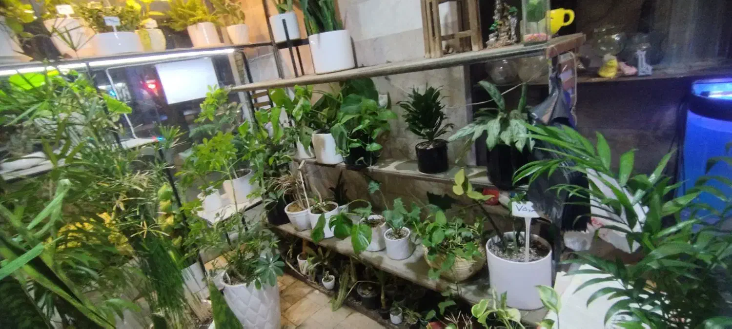 ویترین بزرگ|بوفه، ویترین، کنسول|مشهد, فاطمیه|دیوار