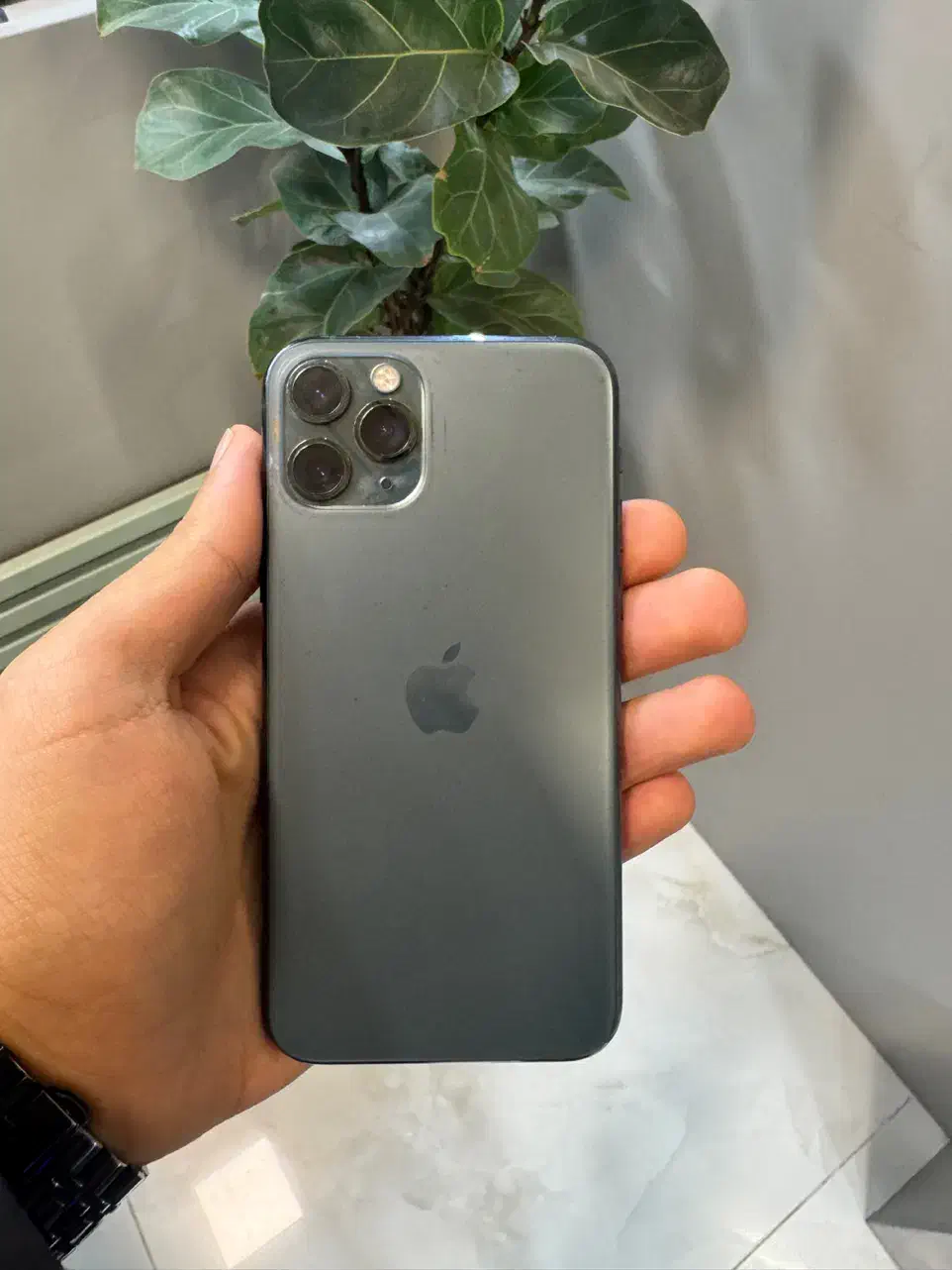 iPhone 11 Pro|موبایل|رشت, لاکانی|دیوار