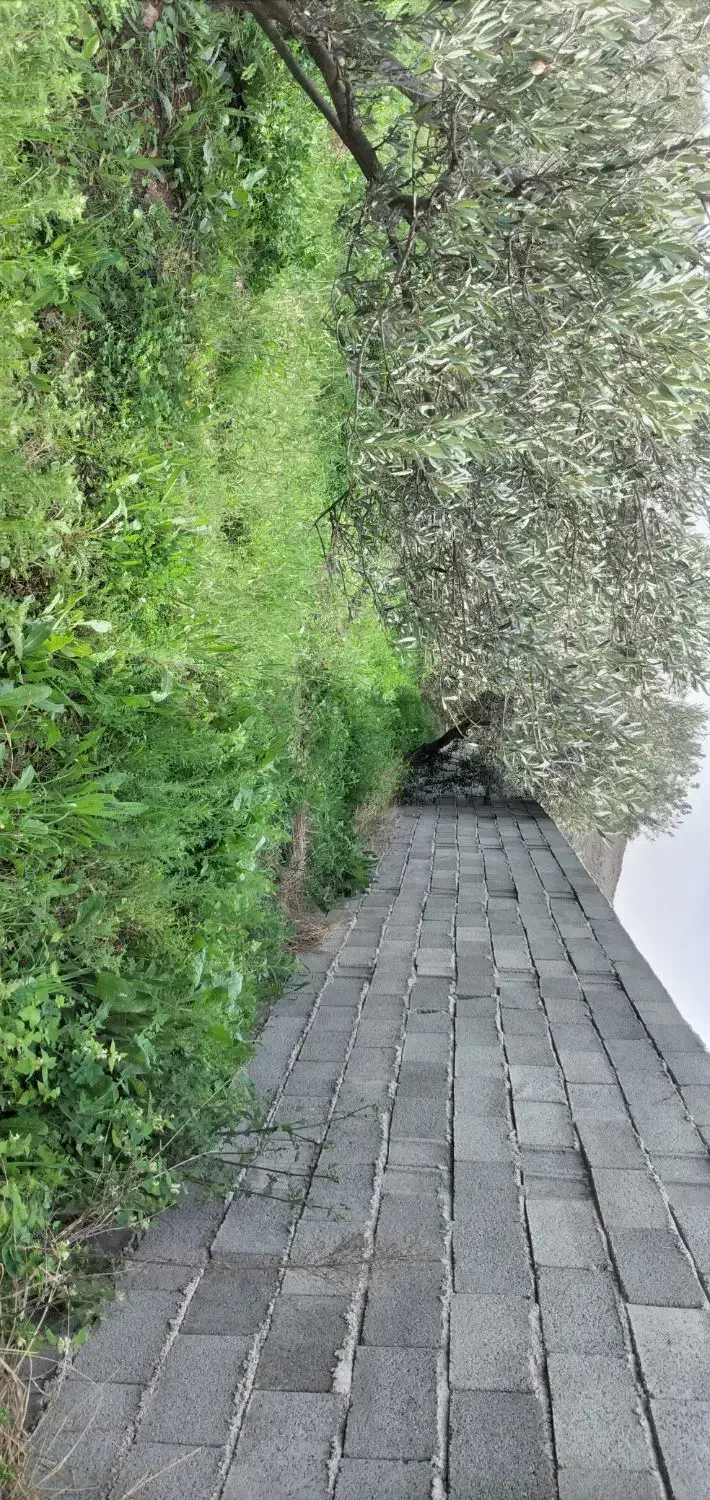 زمین محصور داخل طرح هرزویل|فروش زمین و ملک کلنگی|منجیل, |دیوار