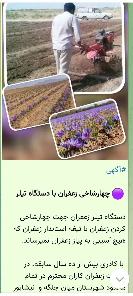 شخم زدن یا سله شکنی زعفران با تیلر|عمده‌فروشی|میان جلگه, |دیوار