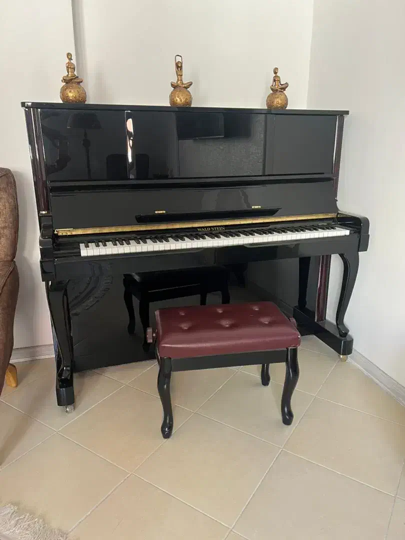 پیانو آکوستیک والد اشتاین|پیانو، کیبورد، آکاردئون|مشهد, جانباز|دیوار