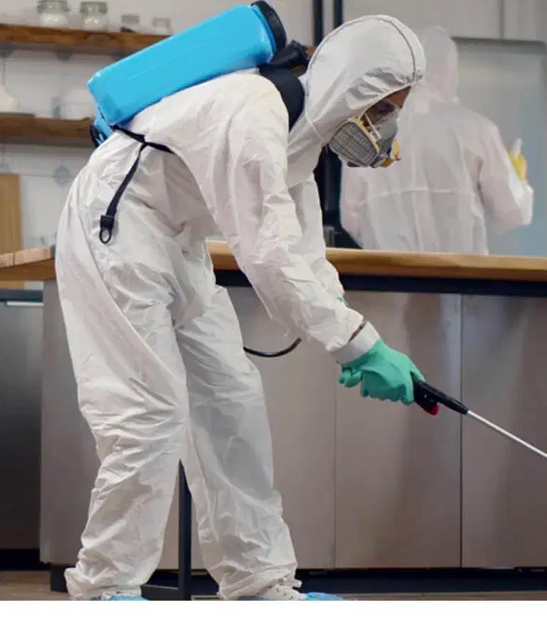 سمپاشی و ضد عفونی|خدمات نظافت|رشت, پورسینا|دیوار