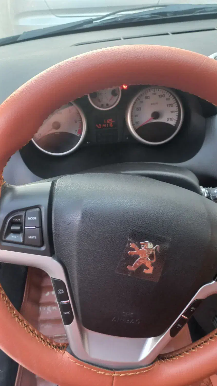 ۲۰۷ سقف فلز مدل ۱۴۰۴|خودرو سواری و وانت|برازجان, |دیوار