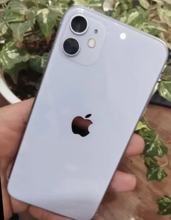 ایفون ۱۱نرمال ۱۲۸ ch|موبایل|اراک, |دیوار