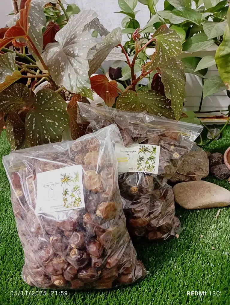 خرما برحی خوزستان درشت و خوشمزه|خوردنی و آشامیدنی|قم, پردیسان|دیوار