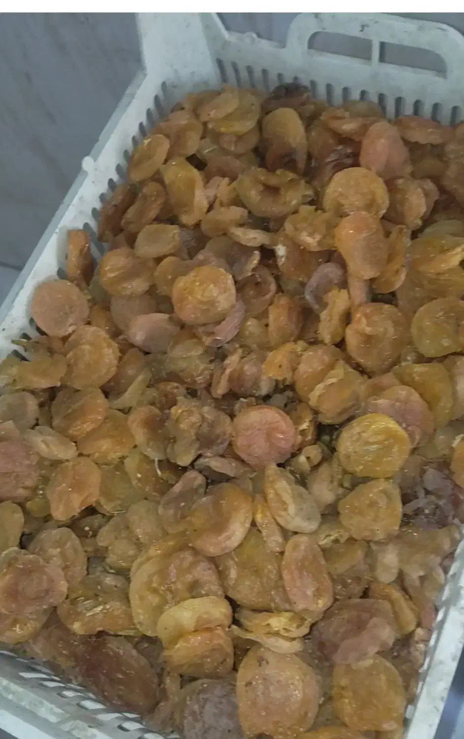 زردالو خشک گوشتی|عمدهفروشی|مهاباد (آذربایجان غربی), |دیوار