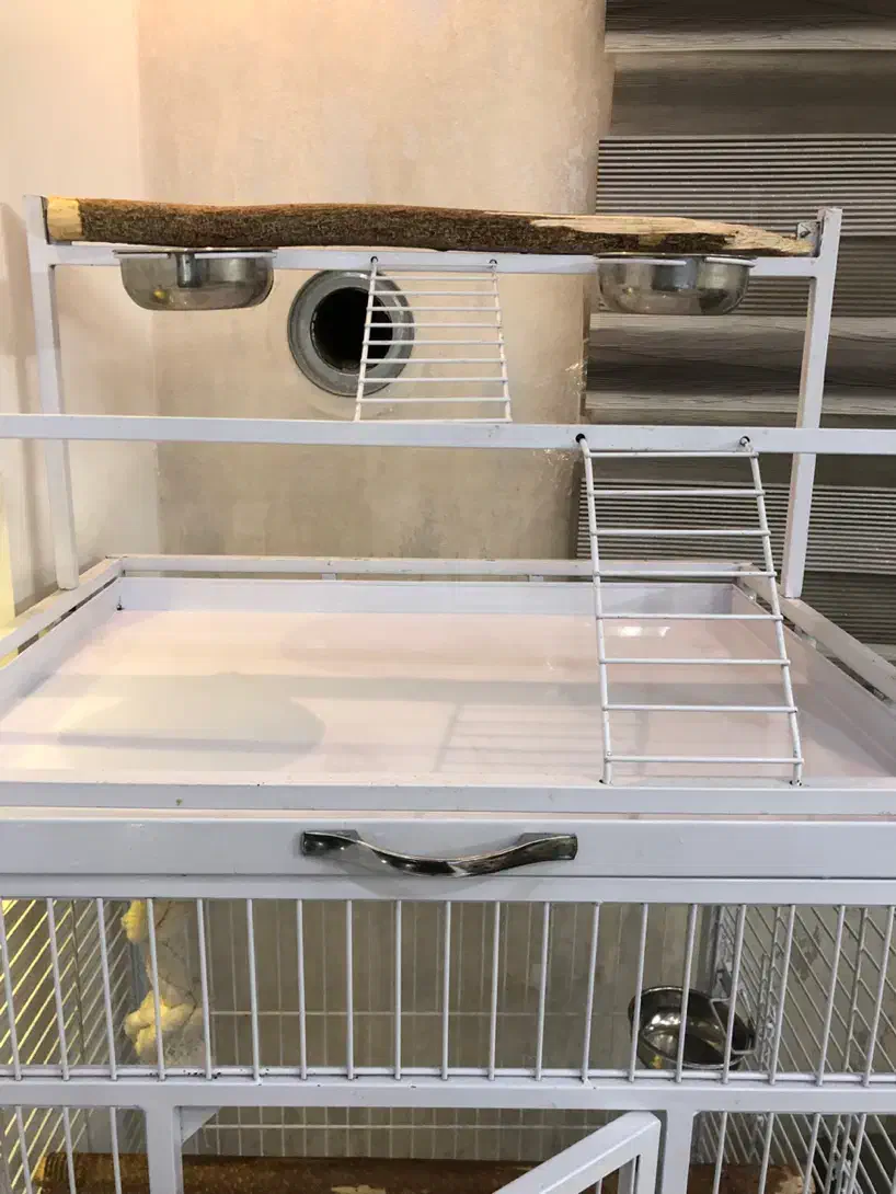 قفس مخصوص ( ارا - کاسکو- کاکادو)|لوازم جانبی حیوانات|تهران, کیانشهر|دیوار