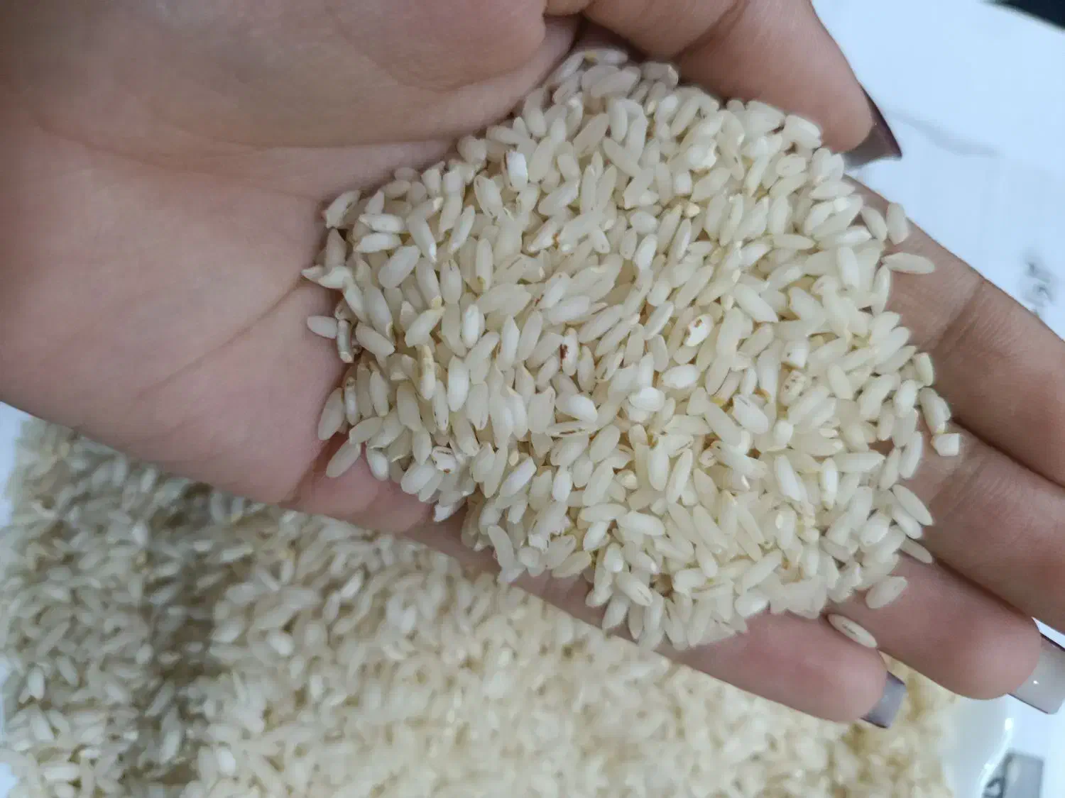 برنج درجه یک|خوردنی و آشامیدنی|شوشتر, |دیوار