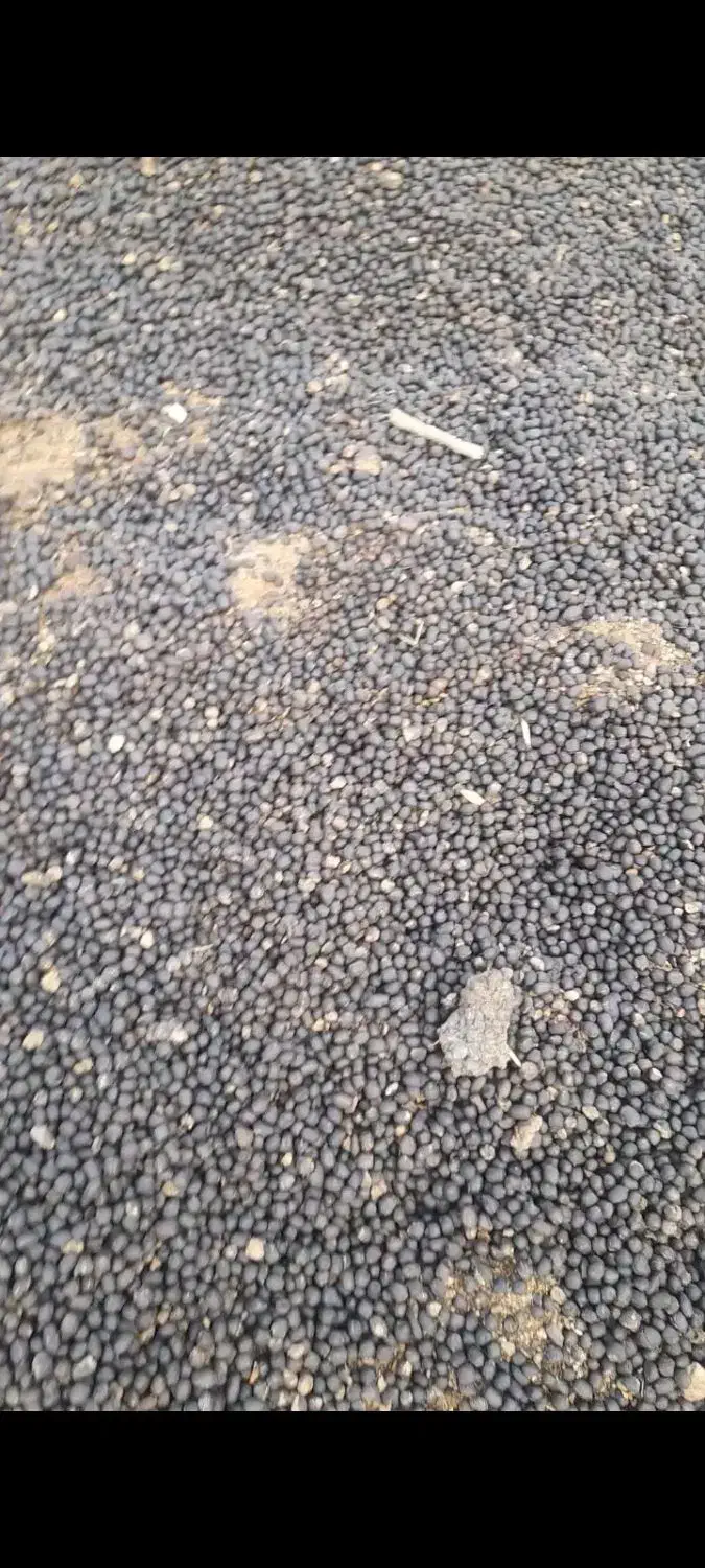 کود حیوانی بسیار تمیز|گل و گیاه طبیعی|خرمآباد, |دیوار