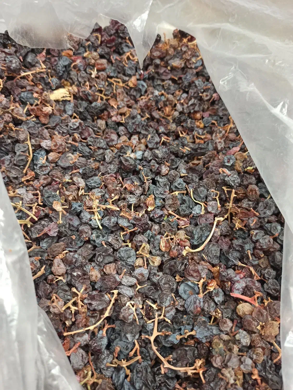 کشمش آبگیری|خوردنی و آشامیدنی|بیرجند, |دیوار