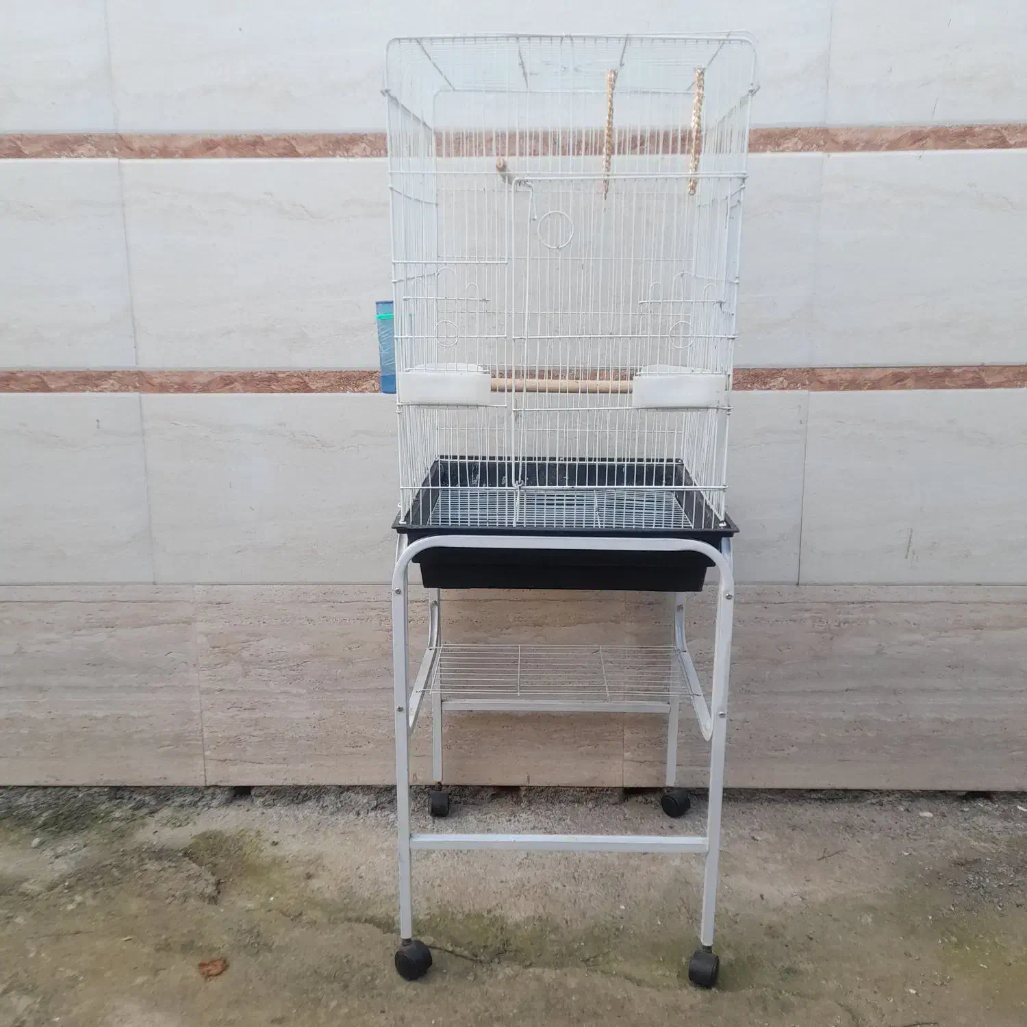 قفس بزرگ پرنده همراه پایه|لوازم جانبی حیوانات|فومن, |دیوار