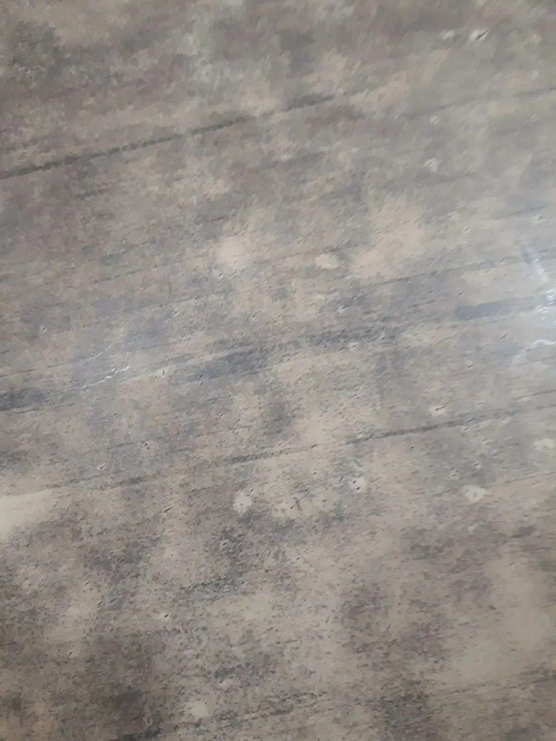 موکت سالم وبزرگ هرسایز موجوده|موکت|اردبیل, |دیوار