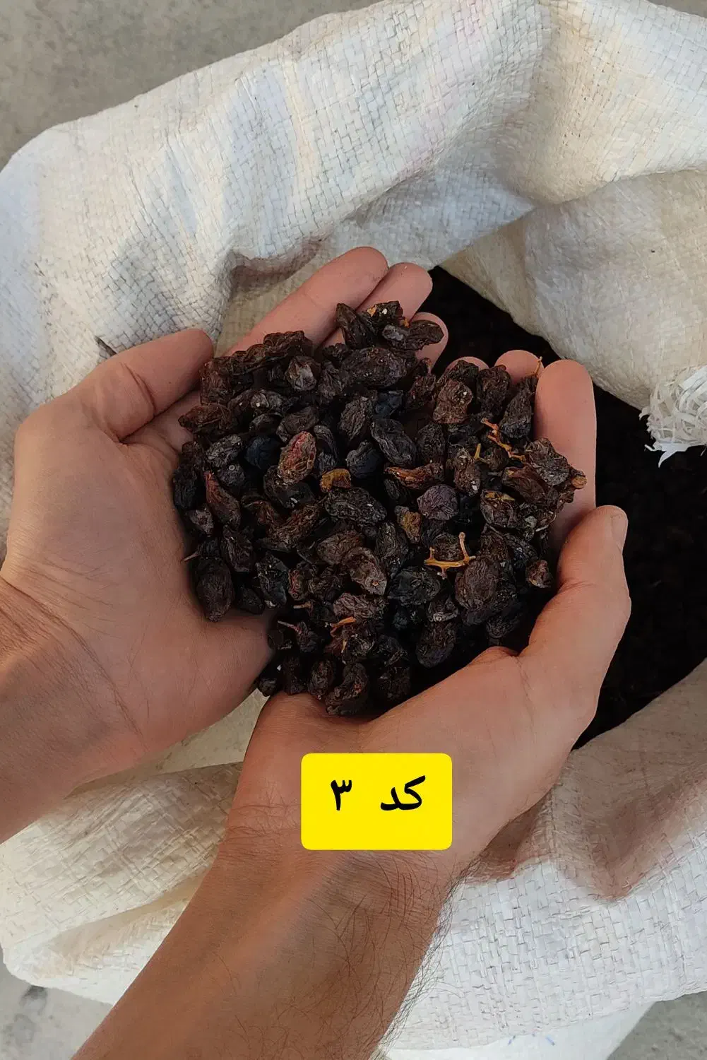 پخش کشمش|خوردنی و آشامیدنی|تبریز, |دیوار