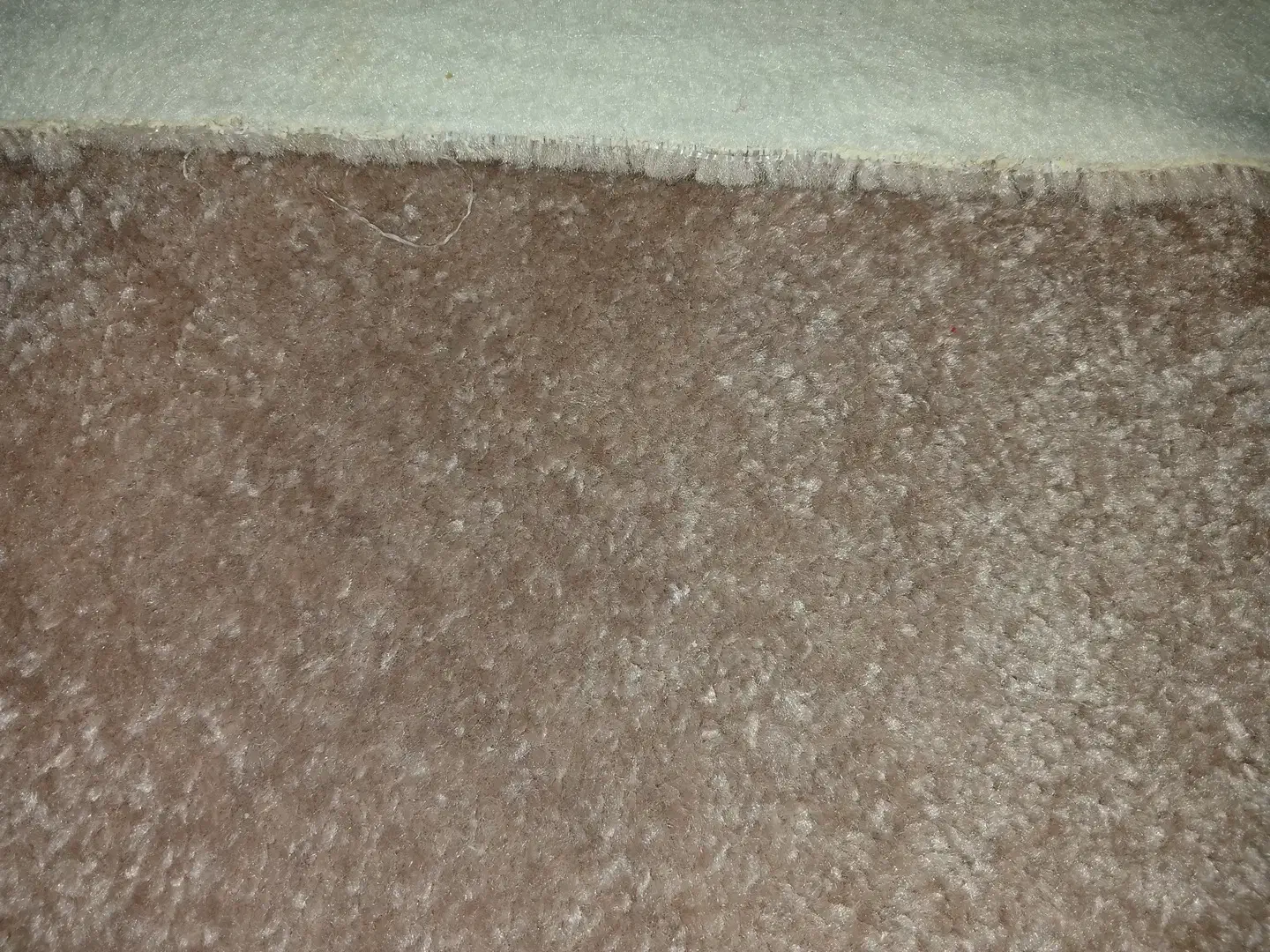 پالاز موکت|موکت|خمینی‌شهر, |دیوار