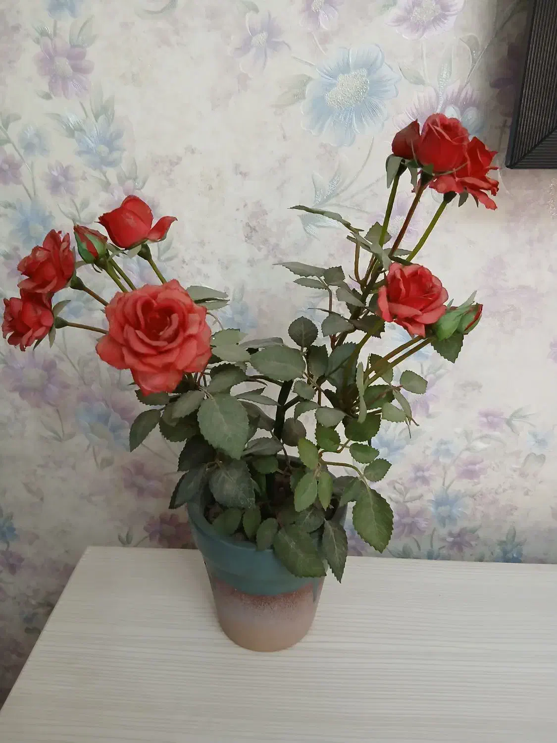 گل مصنوعی|گل مصنوعی|همدان, |دیوار