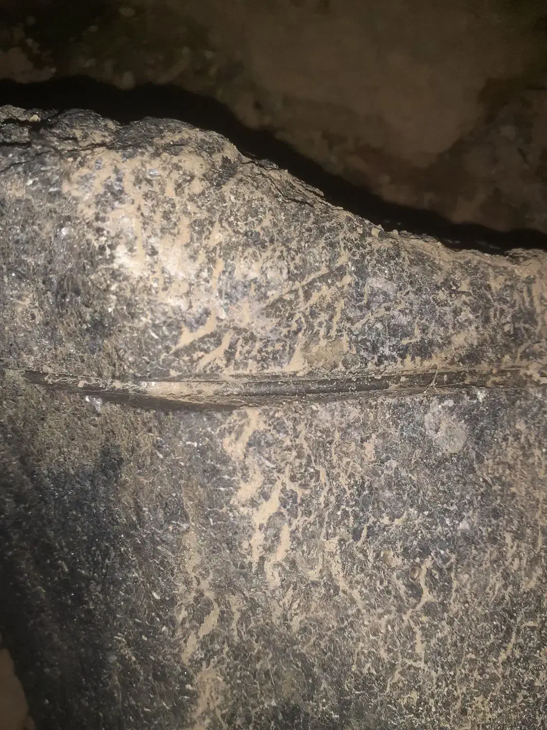 شهاب سنگ|کلکسیون اشیاء عتیقه|شیراز, شهرک صنعتی شیراز|دیوار