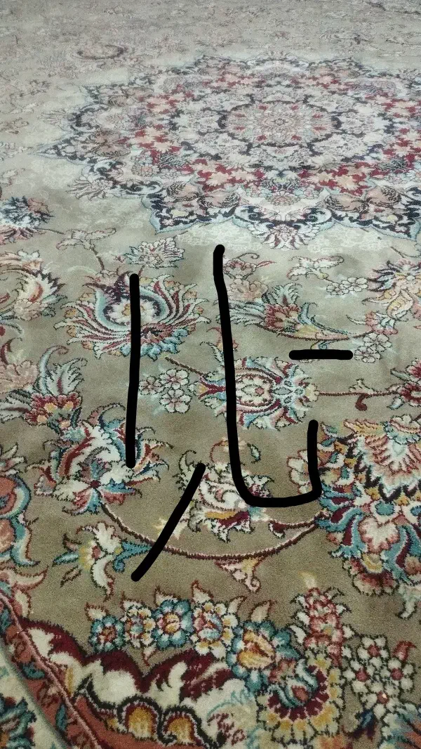 فرش، حواله، تارا|فرش|زابل, |دیوار