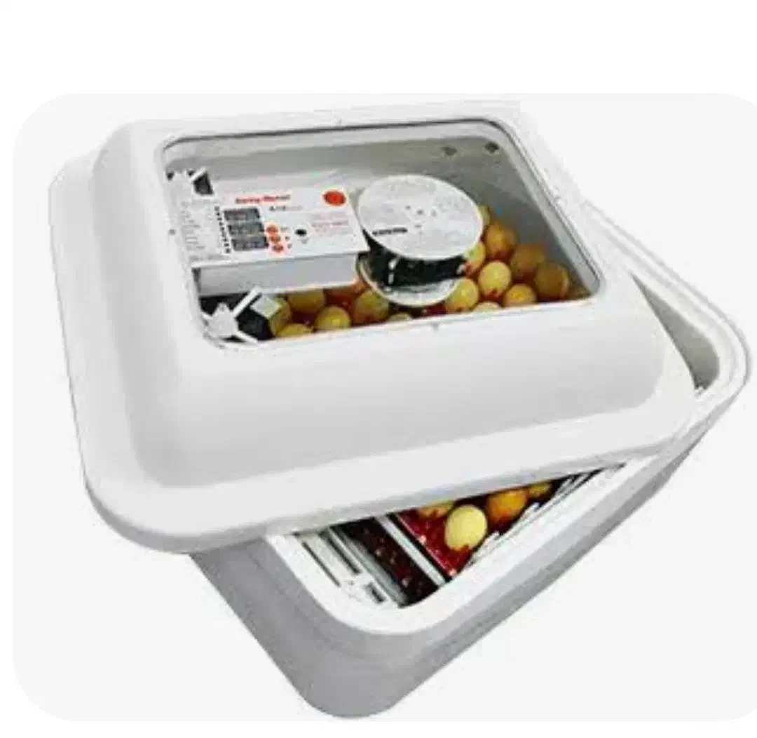 استفاده از جوجه کشی|لوازم جانبی حیوانات|اصفهان, مهدیه|دیوار