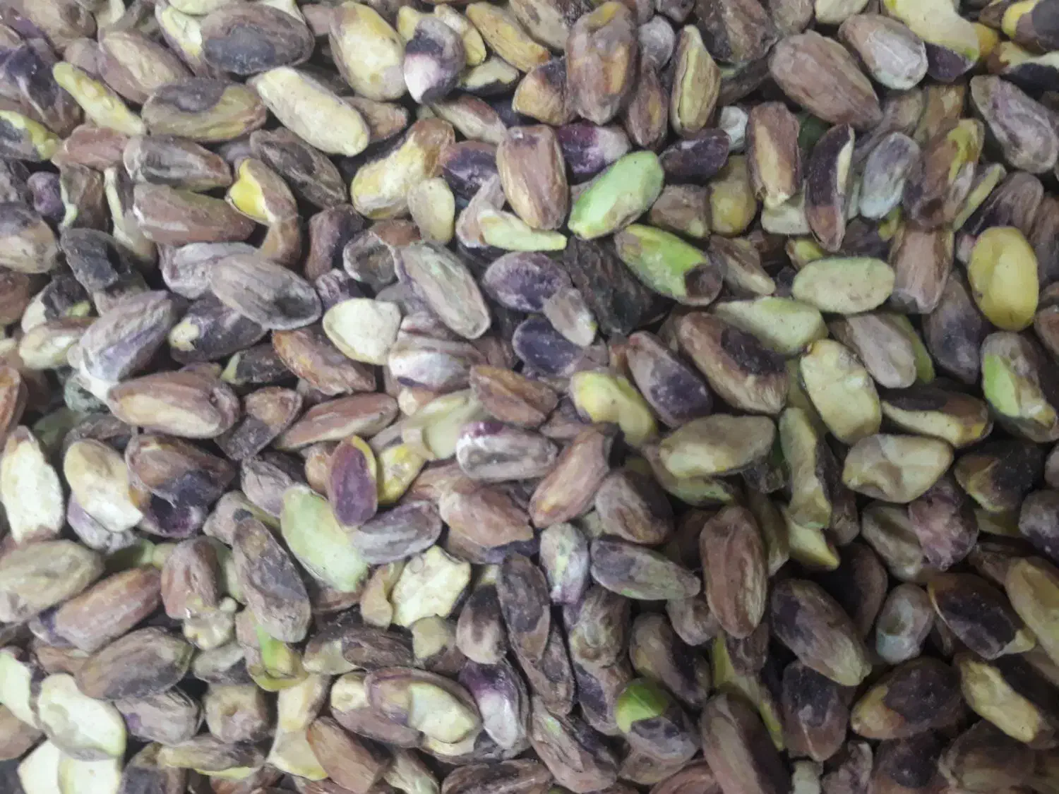 پسته|خوردنی و آشامیدنی|مه ولات, |دیوار