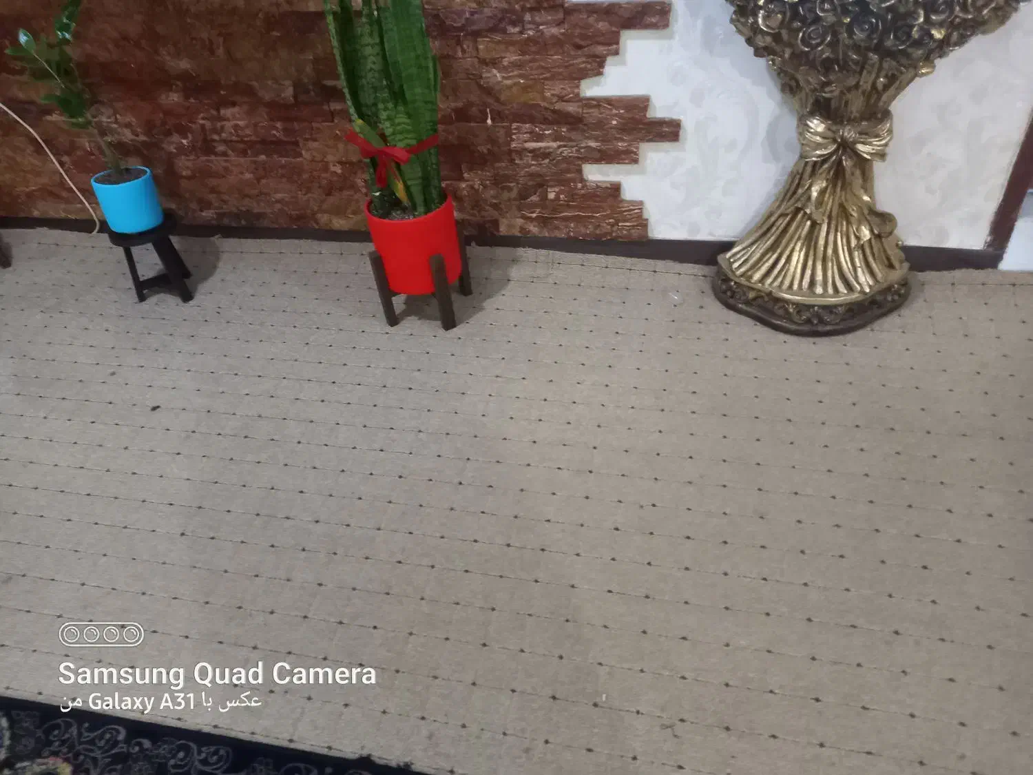 پالازموکت|موکت|اهواز, سیصد دستگاه|دیوار