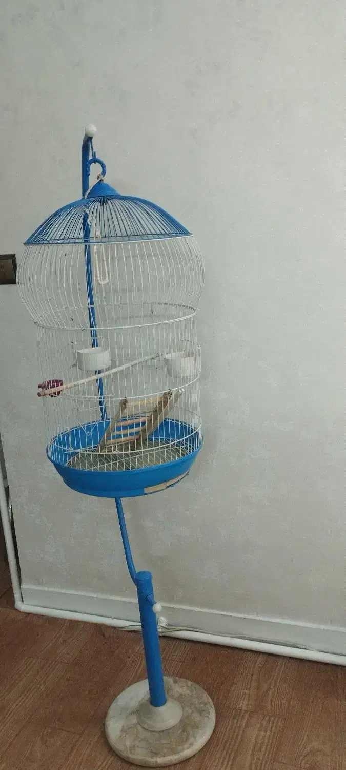 قفس اویز عروس هلندی|لوازم جانبی حیوانات|ری, منصوریه منگل|دیوار