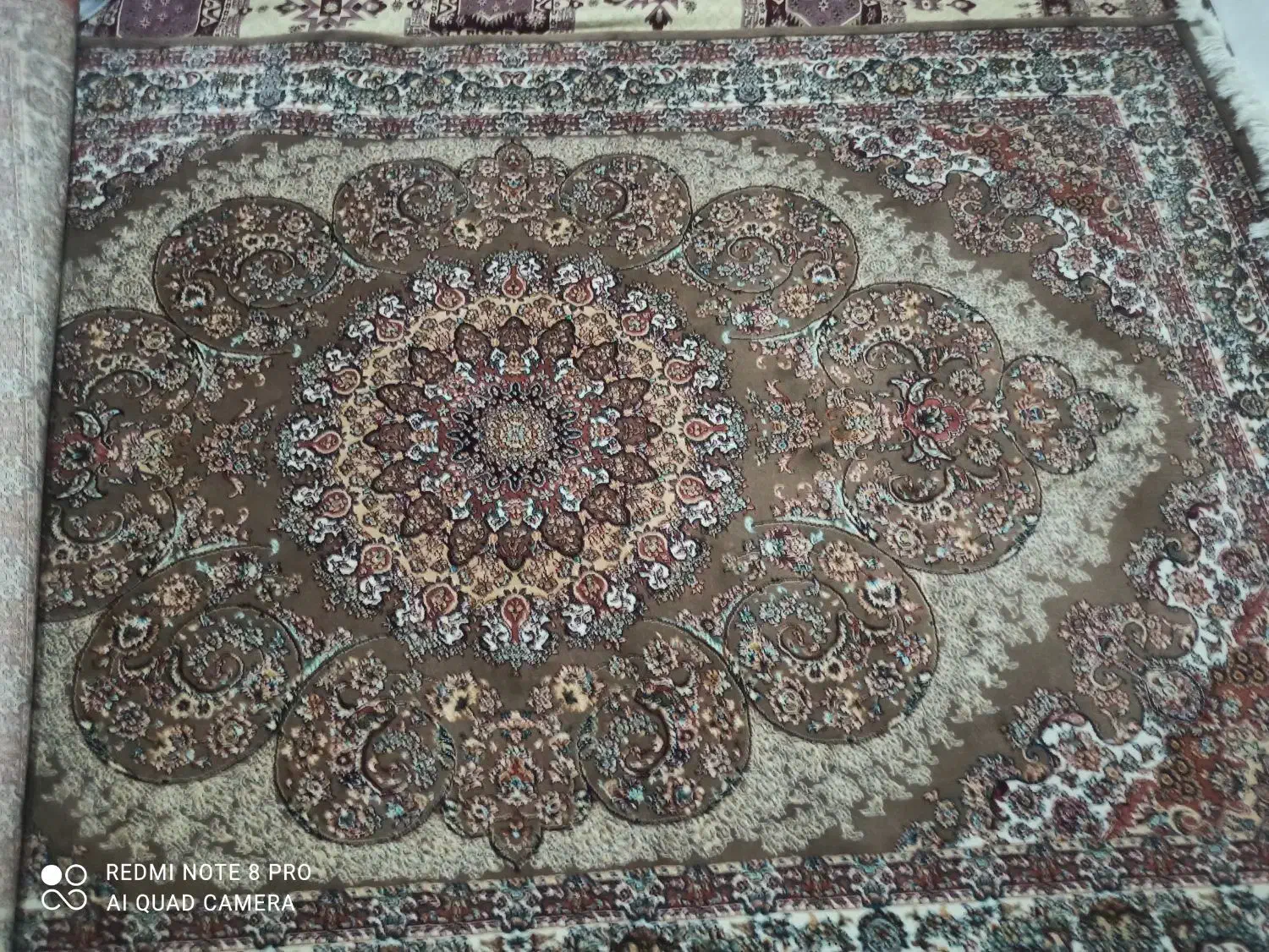 دو عدد فرش شش متری|فرش|بروجرد, |دیوار