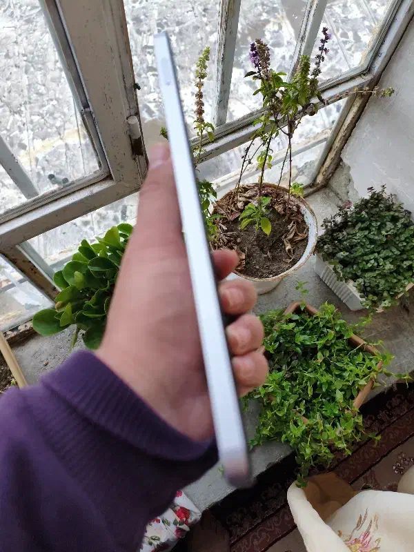 تبلت سامسونگ A9|تبلت|نمشیر, |دیوار