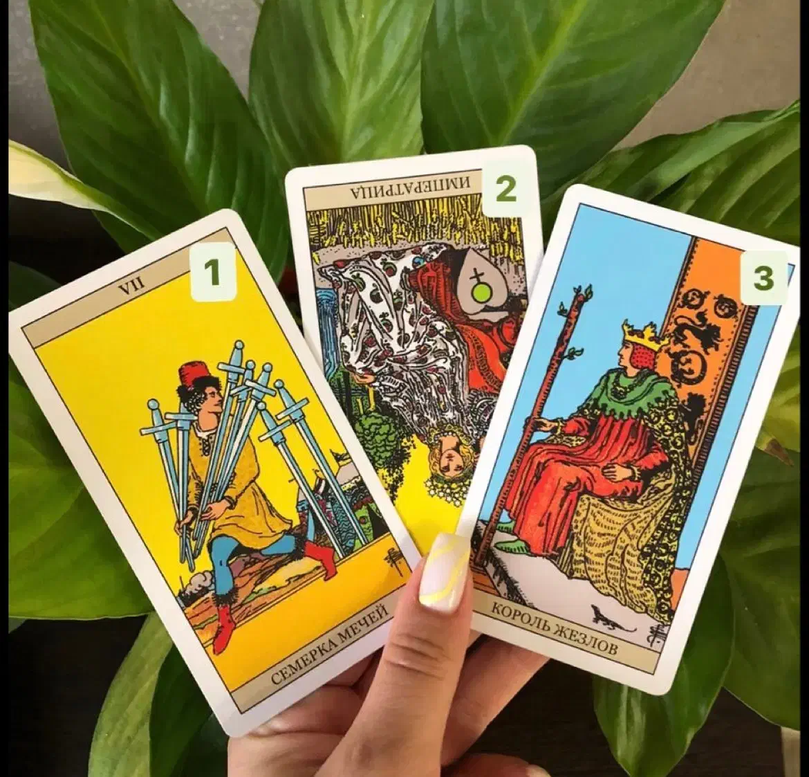 فال زیر ۱۰۰تومن|خدمات پذیرایی، مراسم|تهران, اقدسیه|دیوار