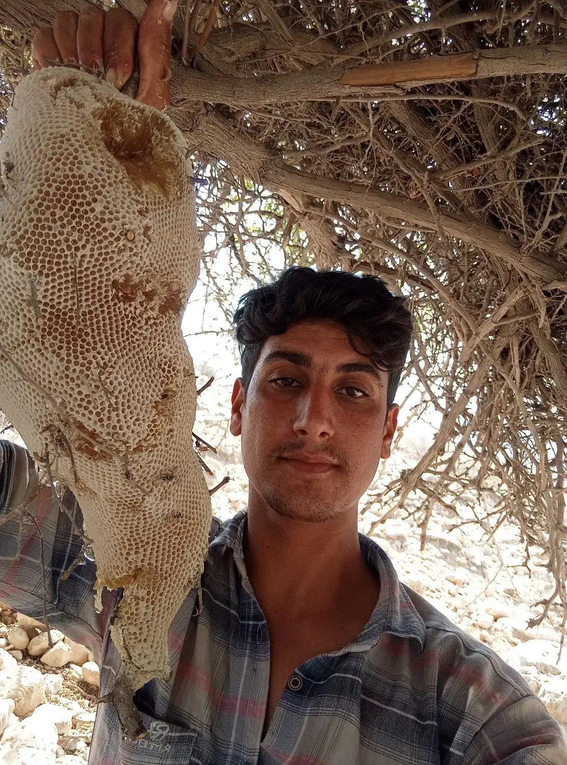 عسل محلی با موم وصاف شده موجود مقدار محدود|خوردنی و آشامیدنی|اسیر, |دیوار