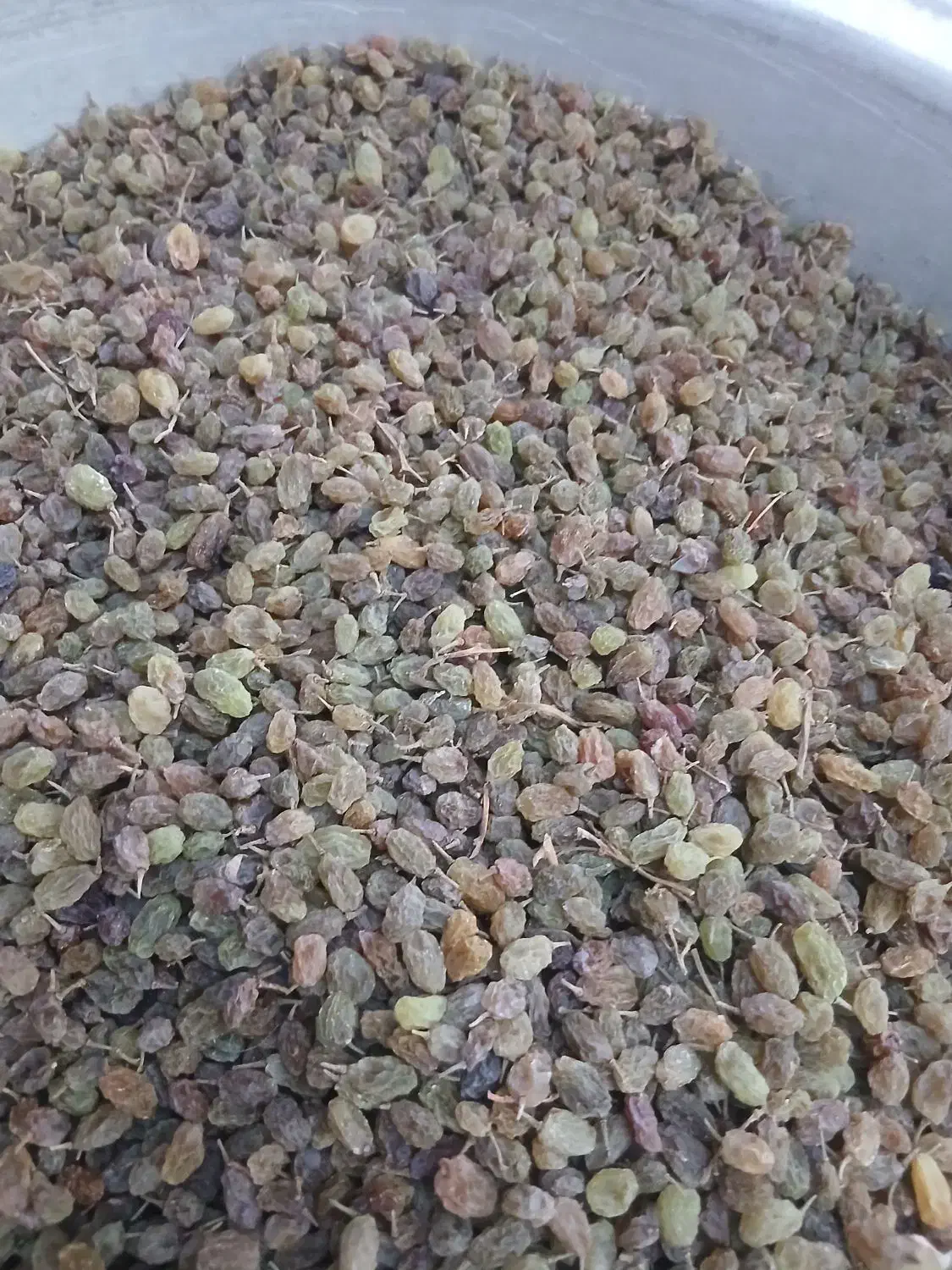 کشمش اسما اعلا قیمت ۳۵۰|خوردنی و آشامیدنی|قیدار, |دیوار