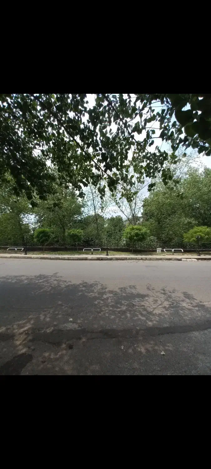 زمین / مسکونی / ۲۱۰متری / بلوار افتخاری|فروش زمین و ملک کلنگی|رشت, منظریه|دیوار