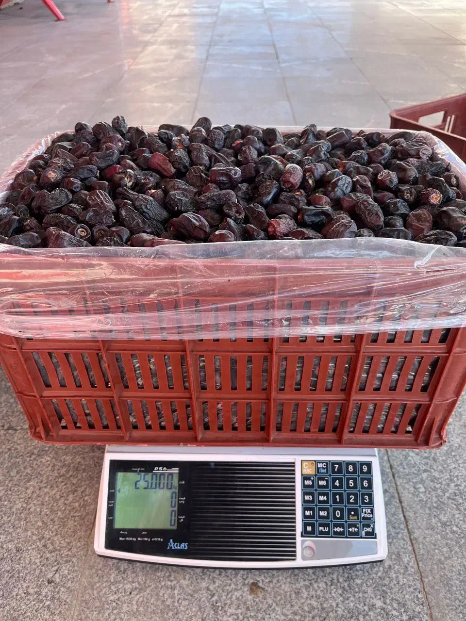 فروش سبد ۲۵ کیلویی|ظروف نگهدارنده، پلاستیکی، یکبارمصرف|بم, |دیوار