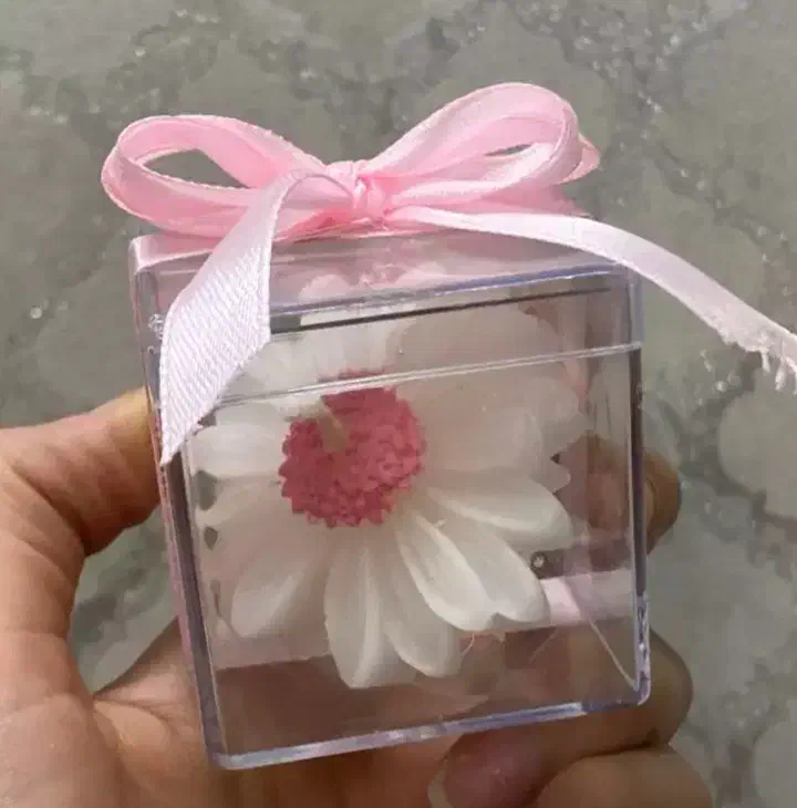 شمع بابونه|صنایع دستی و سایر لوازم تزئینی|دابودشت, |دیوار