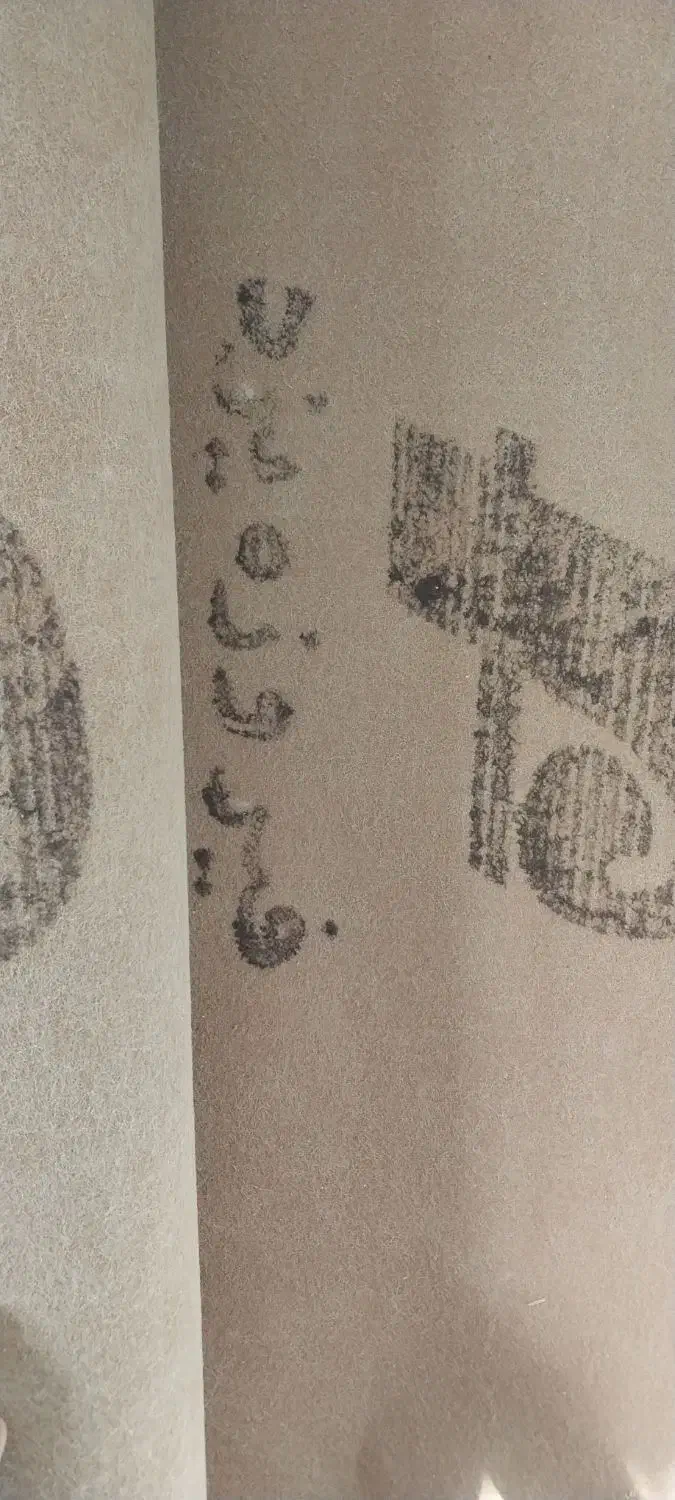 موکت سالم و نو|موکت|تربت‌حیدریه, حسنی بالا|دیوار