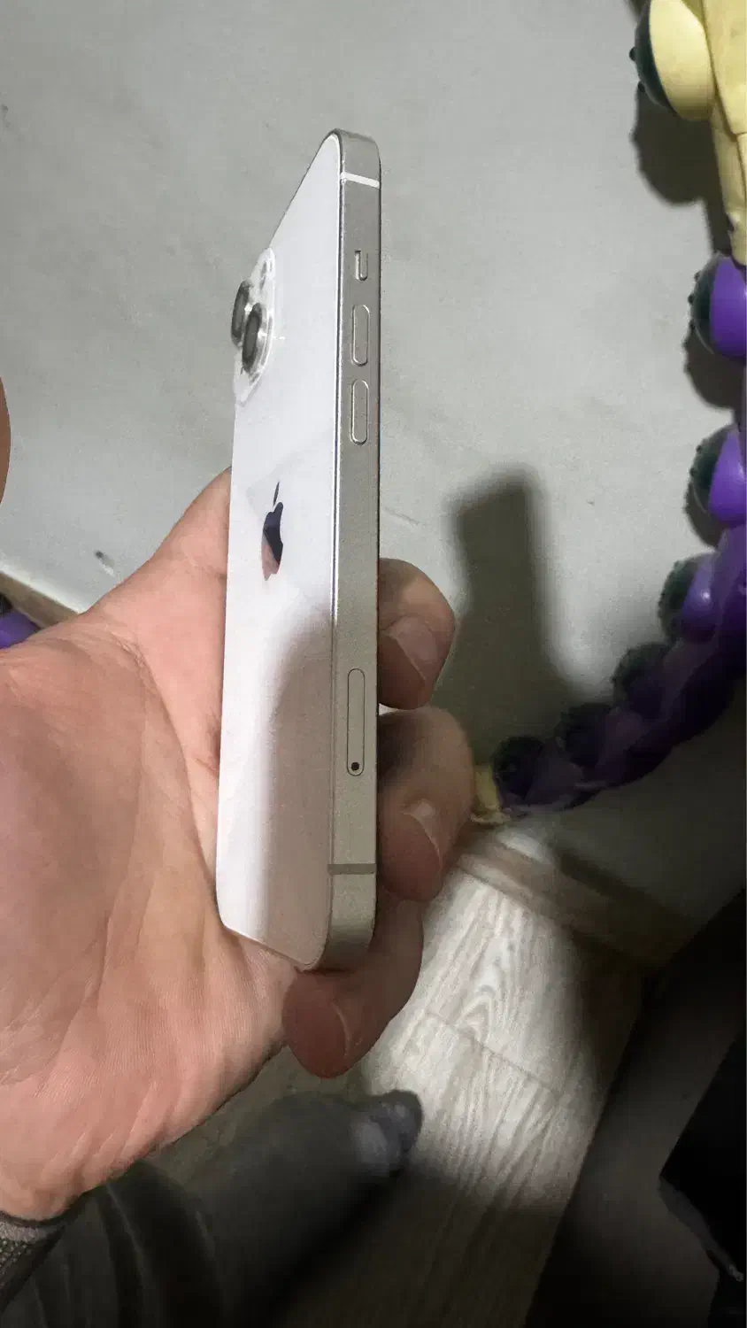 iPhone 13|موبایل|بجنورد, |دیوار