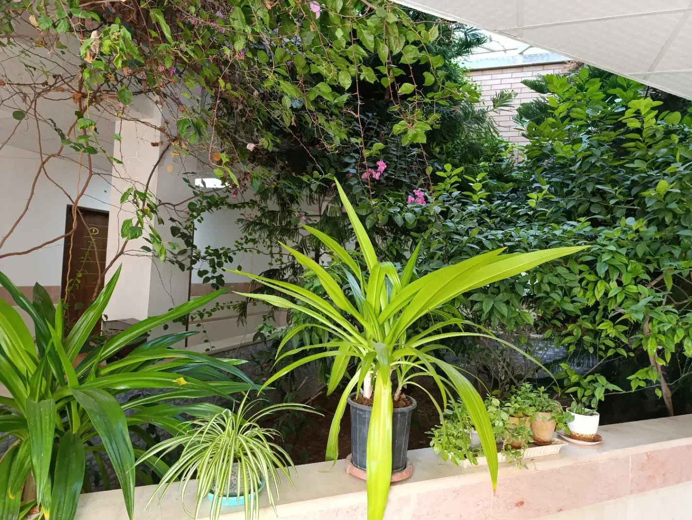 مجتمع فرهنگی آموزشی حضرت زینب سلام الله علیها|خدمات آموزشی|نجفآباد, ویلاشهر|دیوار