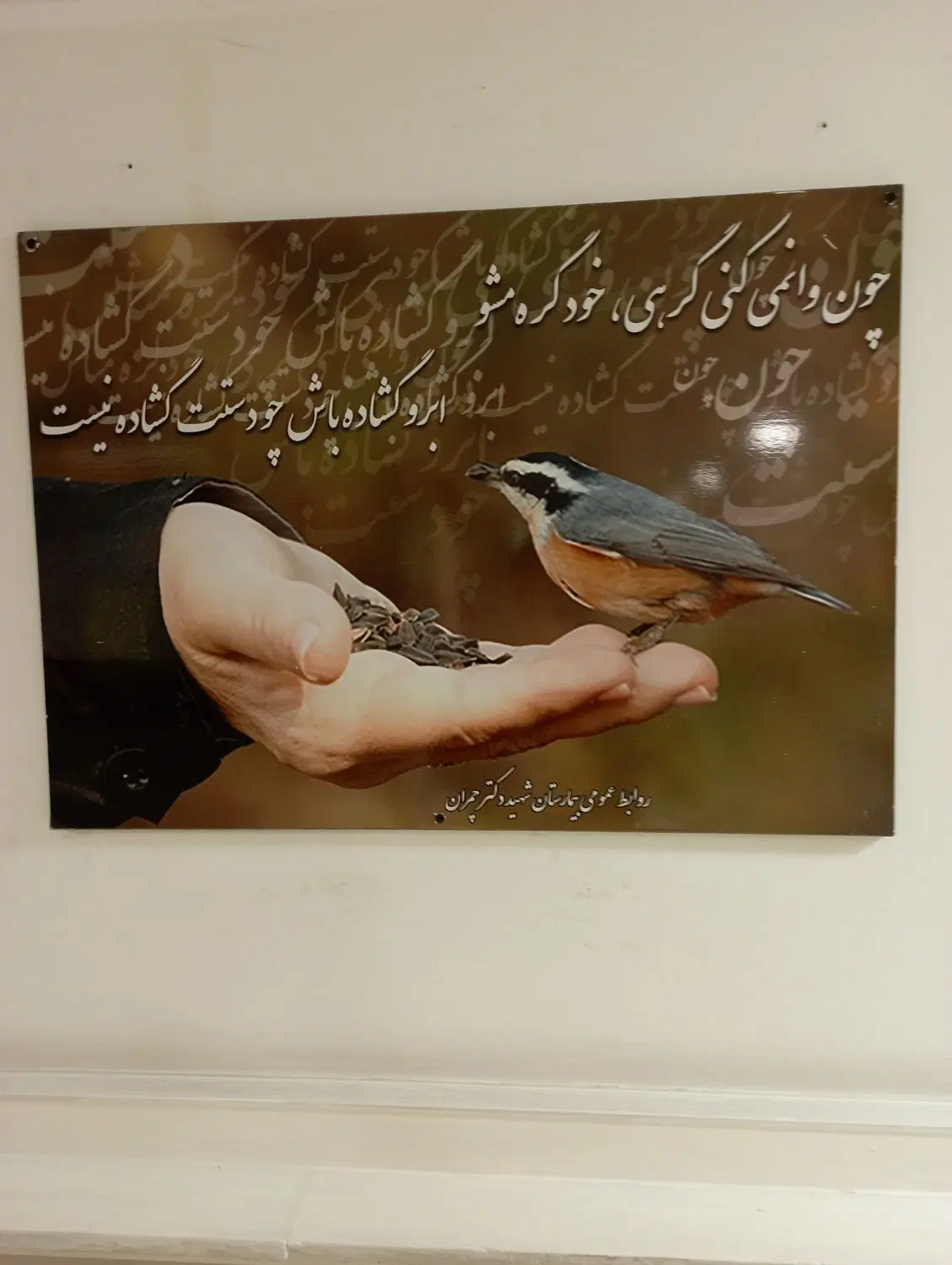 خط کد ا|سیمکارت|کیش, |دیوار