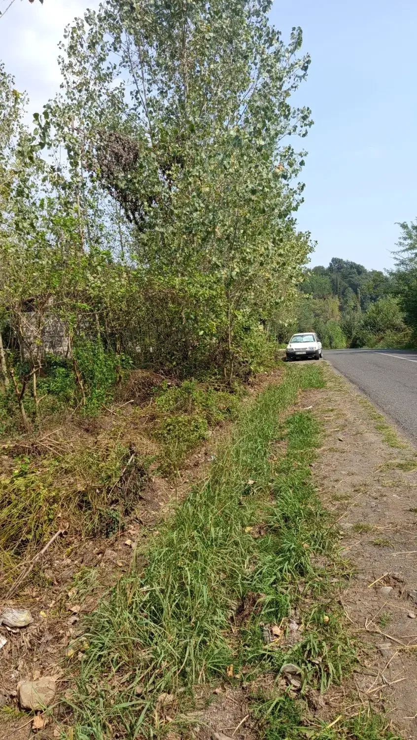 زمین بحر جاده اصلی|فروش زمین و ملک کلنگی|املش, |دیوار