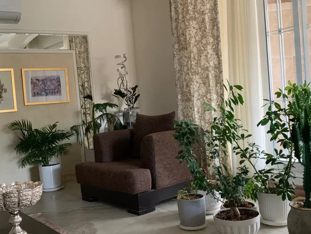 دو عدد مبل تک نفره|مبلمان خانگی و میز عسلی|شیراز, قصرالدشت|دیوار