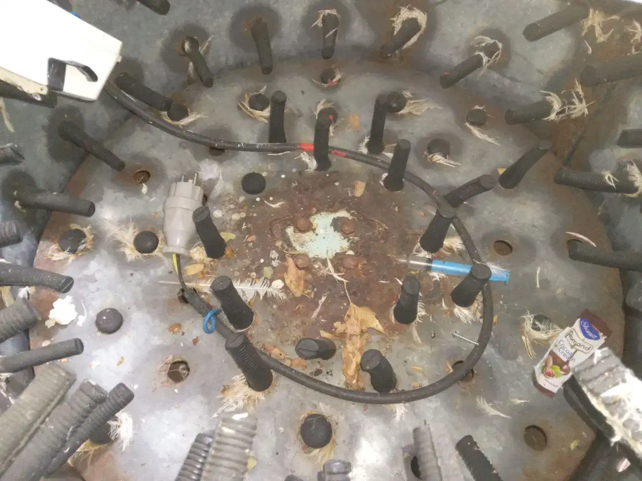 وسایل کامل مرغ فروشی|فروشگاه و مغازه|کنگاور, |دیوار