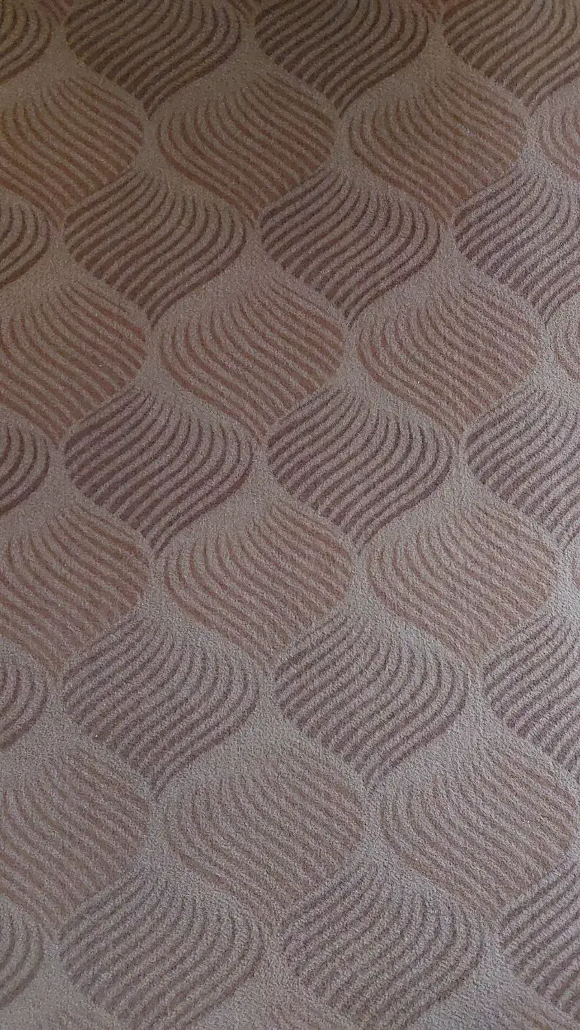 موکت قهوه ای ۶۰متر در حد نو|موکت|تهران, آشتیانی|دیوار