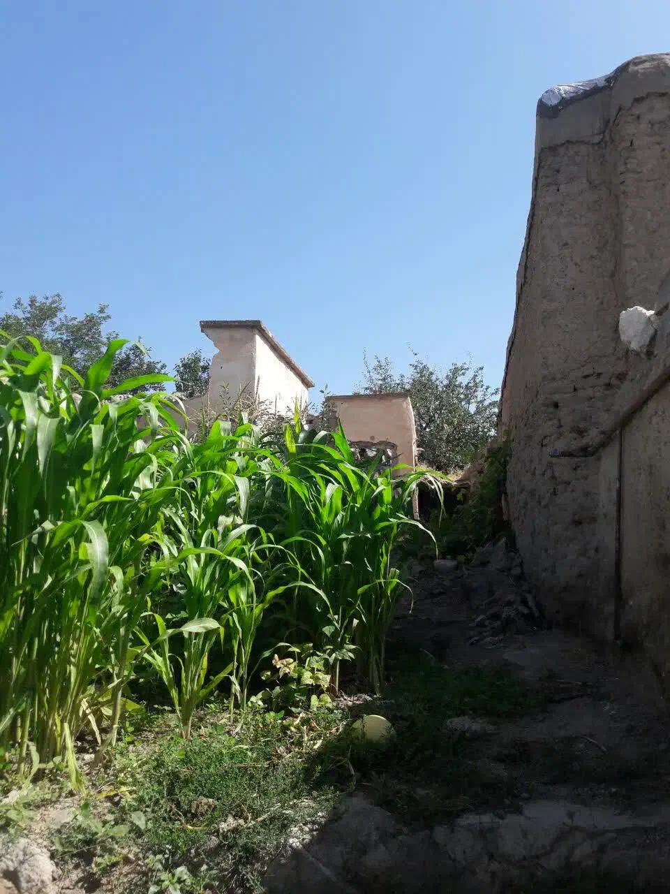 خانه ویلایی350مترپریخان|فروش خانه و ویلا|مشگین شهر, |دیوار