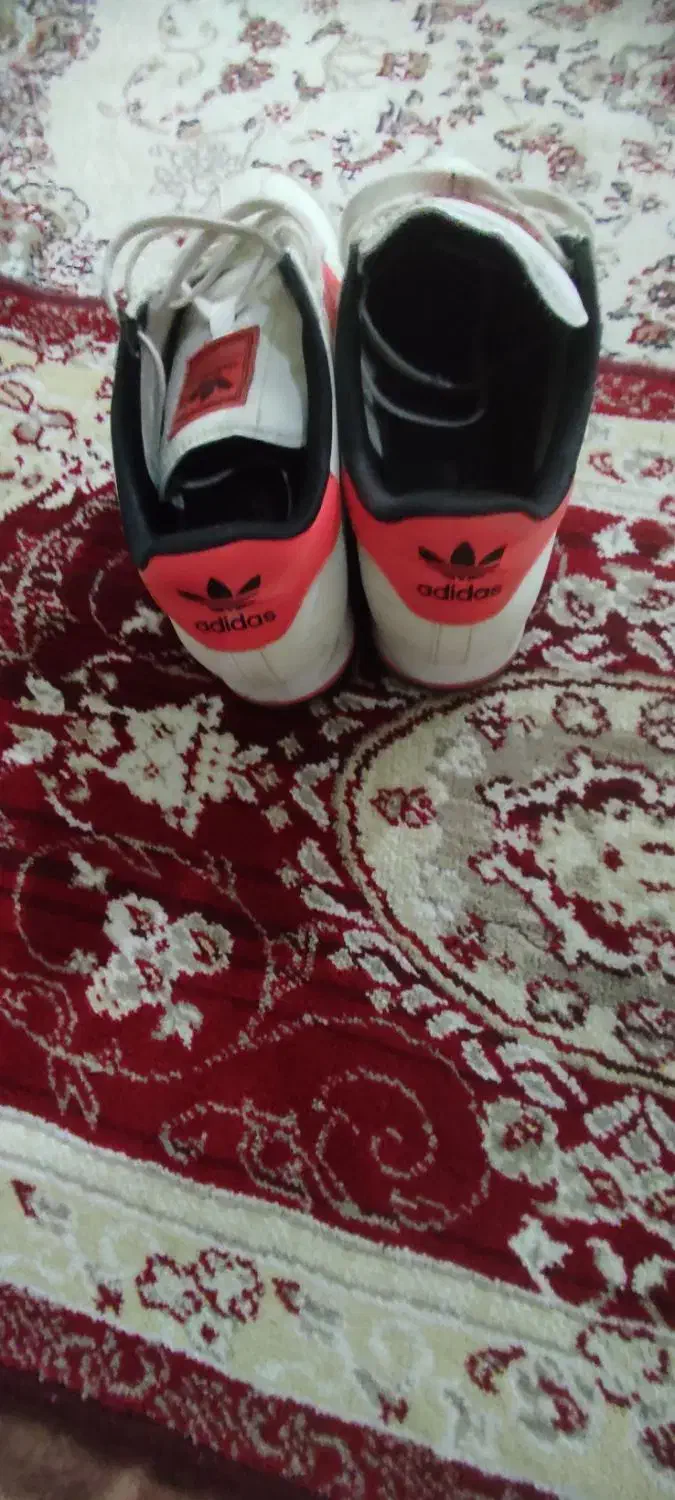 کتونی ساموا|کیف، کفش، کمربند|اسلامشهر, مسکن مهر اسلاشهر (شهرک امام خمینی)|دیوار