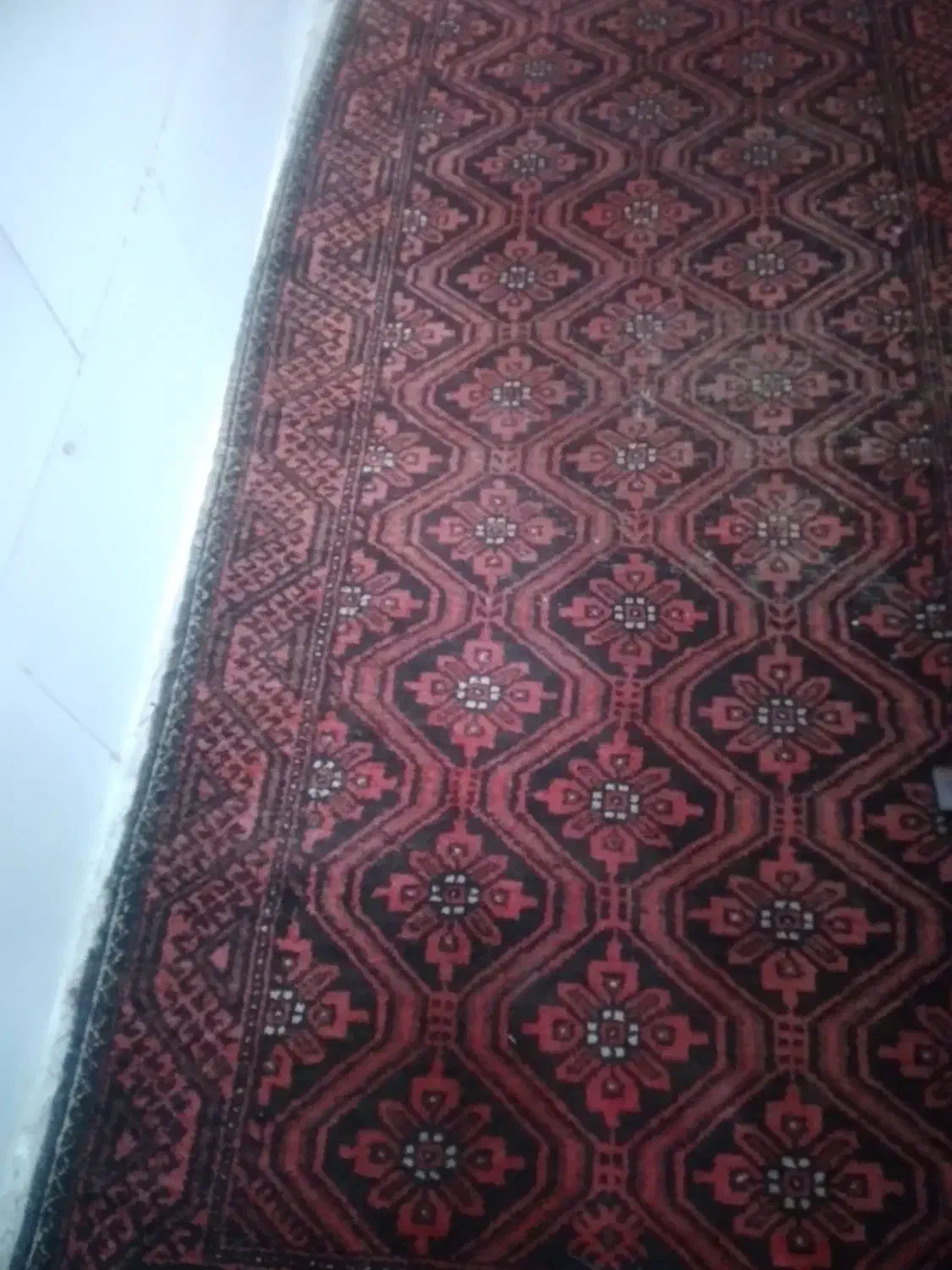 فرش دستباف|فرش|کرمان, |دیوار