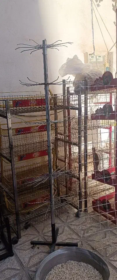 میز پاچال وگردون جوراب و ادویه|فروشگاه و مغازه|مشهد, پنجتن|دیوار